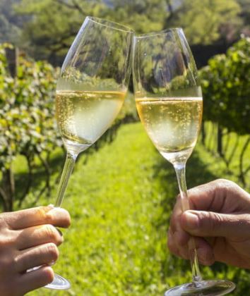 A gathering in the garden for a glass