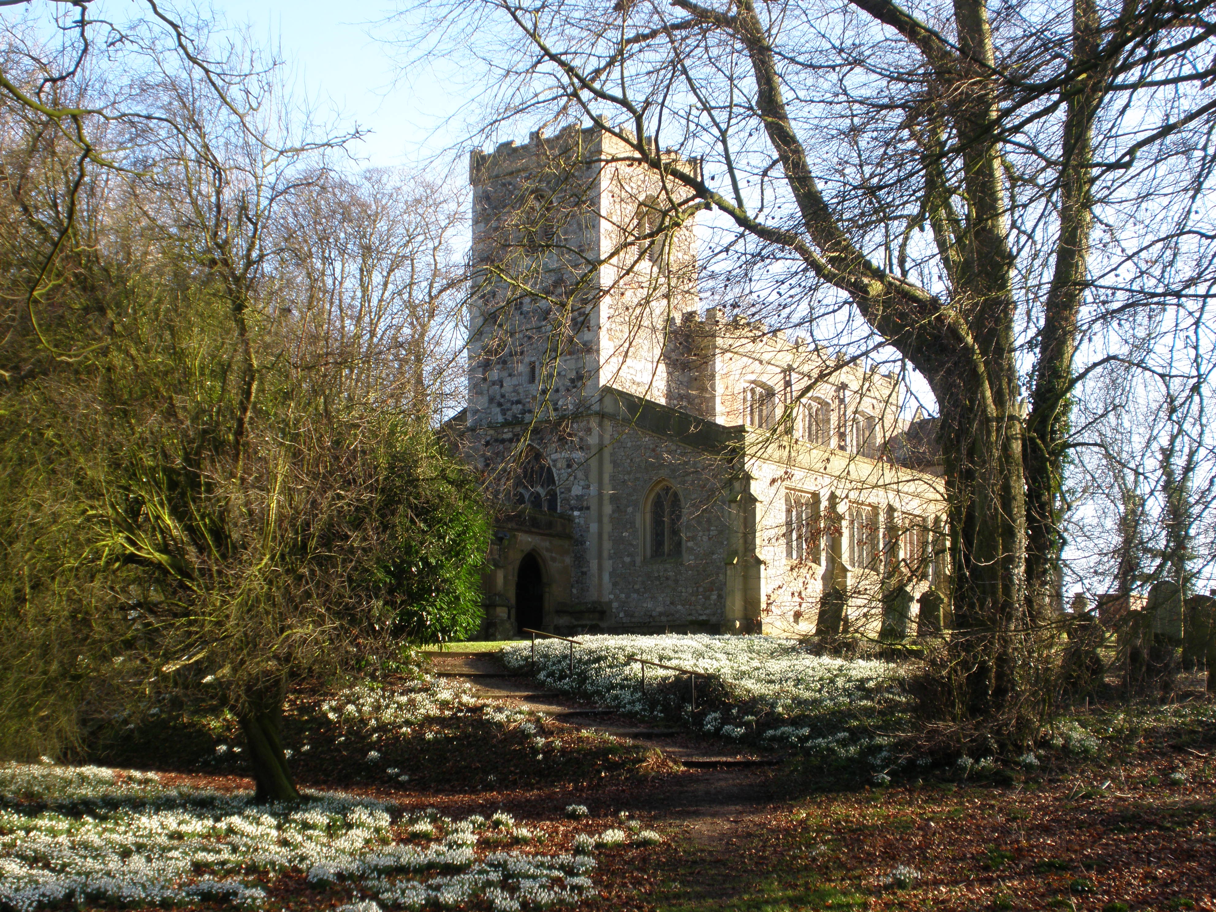 V Tower, image copyright Helen Audley