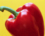 Live Vegetables graphic