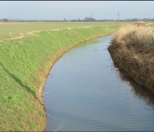 Water Walk